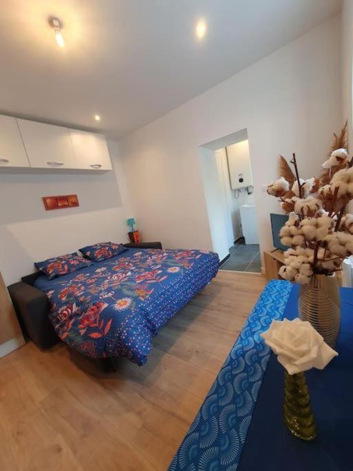 Appart'Hotel, Ikimo 5 Appartements Entiers A Votre Disposition Au Choix Nancy Exterior foto